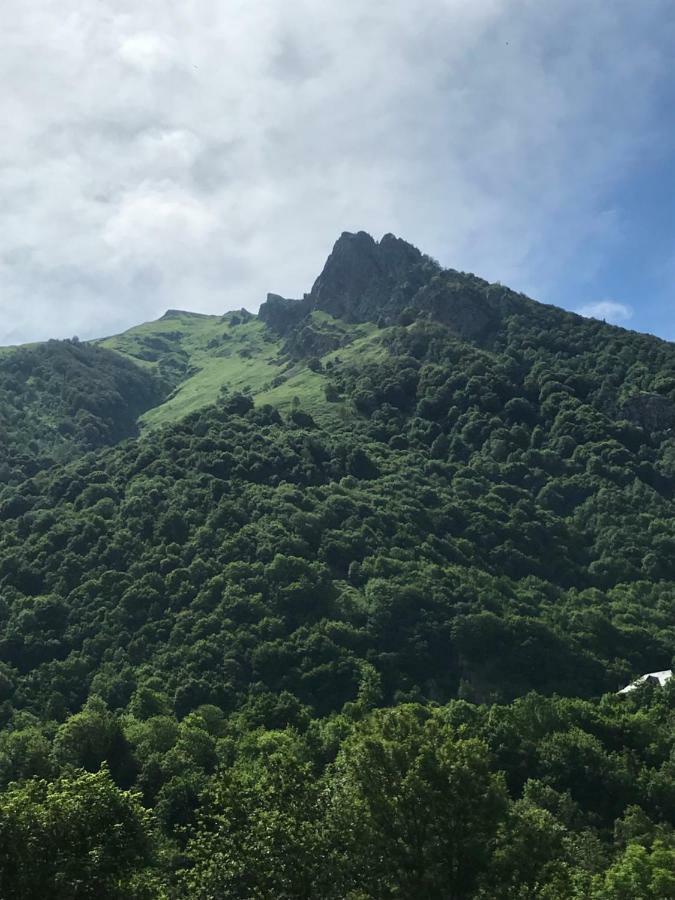 Residence Isard Blanc Cauterets Zewnętrze zdjęcie